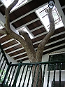 las terrazas-1
